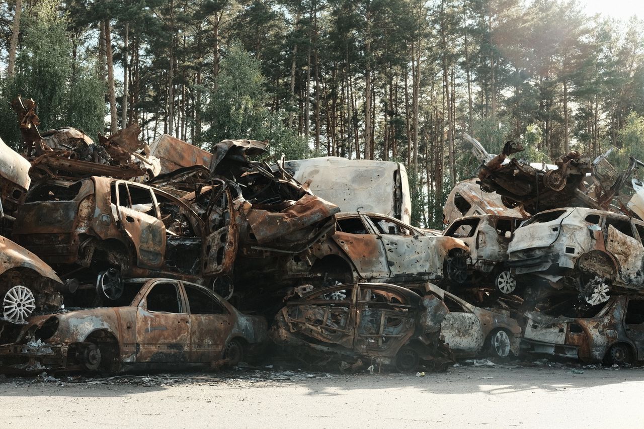 service-01 A pile of rusted, destroyed cars abandoned in a forest junkyard, symbolizing waste and decay.